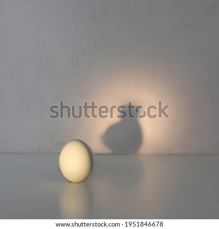 Egg casting shadow of chicken. Creative conceptual photo