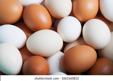 Egg collection isolated on old wood board  background