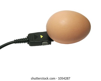 Egg connected on white background