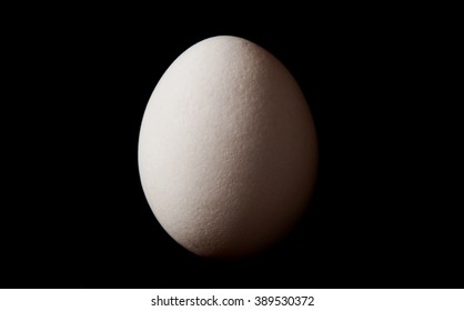 egg in dark