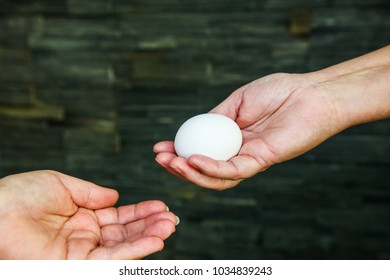 Egg Donation From One Hand To Another