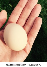 Egg in hand