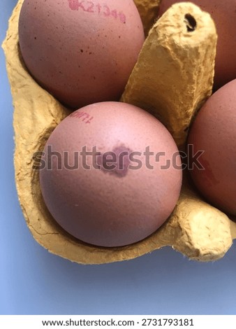 Egg with a heart on the shell