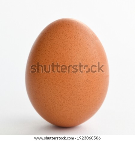 egg isolated on white background