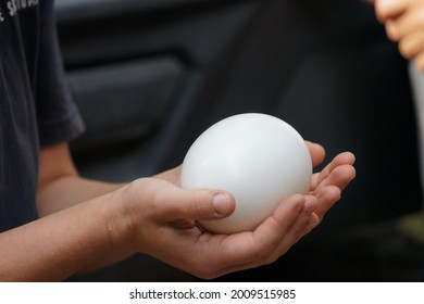 Egg Of A Kiwi. Kiwis Are Flightless Birds Endemic To New Zealand.