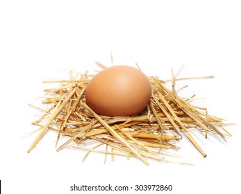  Egg In Nest Isolated On White Background