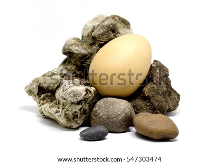 Egg in nest stone on white background.