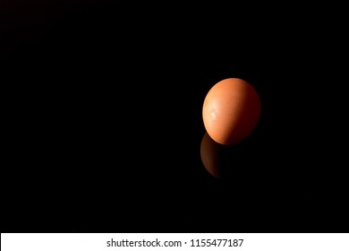 egg on black background