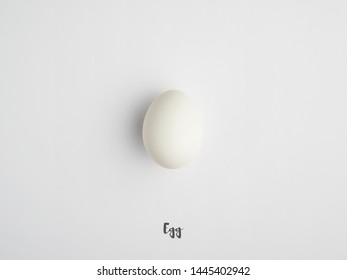 Egg on white background. White egg. - Shutterstock ID 1445402942