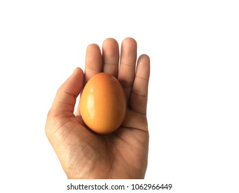 Egg One Fram Fresh Brown White Background Food