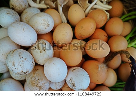 Egg is an oval or rounded body surrounded by a shell by duck or chicken that is eaten as food. Shell of duck egg is white and larger by dimension, chicken is brown and smaller.