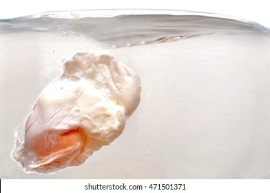 Egg Poaching In Water