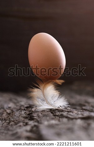 an egg refuted by a bent feather
