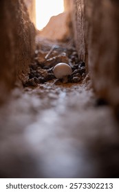 Egg rests on the ground between weathered stones in a narrow space illuminated by soft sunlight