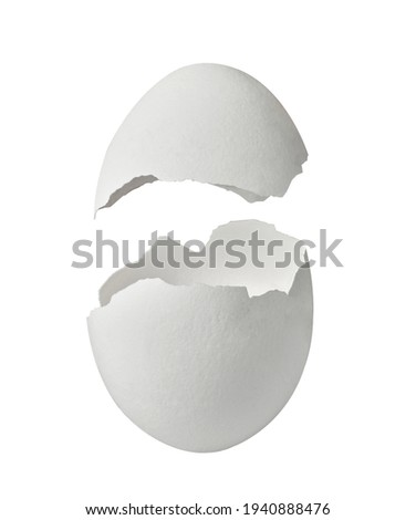 egg shell food white breakfast ingredient fragile protein half chicken part easter broken eggshell cracked