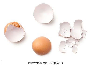 Egg Shell Isolated On White Background. Top View