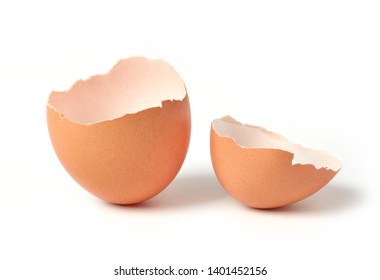 Egg Shell Isolated On White