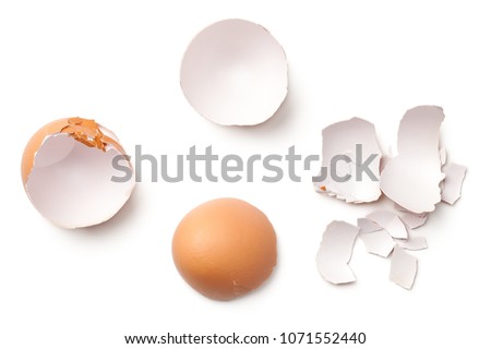 Egg shell isolated on white background. Top view