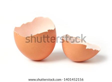 Egg shell isolated on white