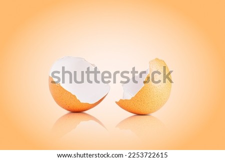 Egg shell isolated on white. Broken chicken egg shell isolated on brown