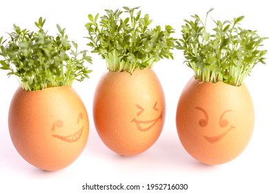 Egg Shells With Faces Drawn On, Fresh Cress In An Egg Shell, Easter