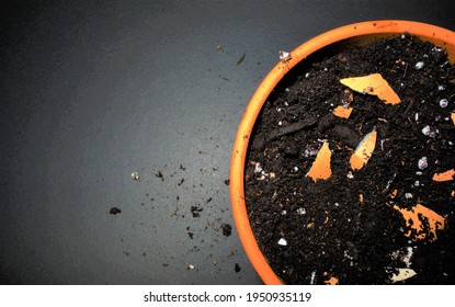 Egg Shells In Gardening Soil. Calcium For Plants. Gardening Tips. Nutrients. Composting Eggs. Urban Gardening. Natural Nutrients For The Garden. Concept Photo For Sustainability, No Waste Kitchens.