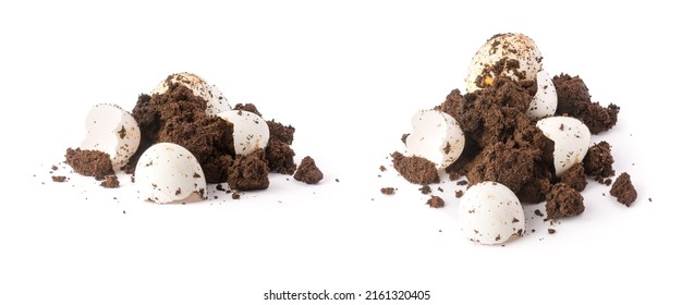 egg shells mixed with used or brewed tea powder to provide nutrients for plants isolated on white background, food waste used as organic fertilizer, environmental and gardening concept, collection