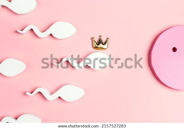 Egg and sperm in a crown\
on a pink background. Oocyte fertilization, pregnancy, conception\
concept. 