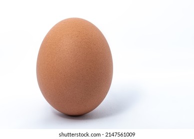 Egg Standing Upright On A White Background. Closeup Of Egg Shell Texture.