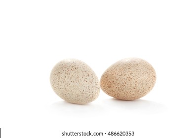 Egg Turkey Isolated On A White Background