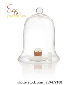 Egg Under Bell Jar