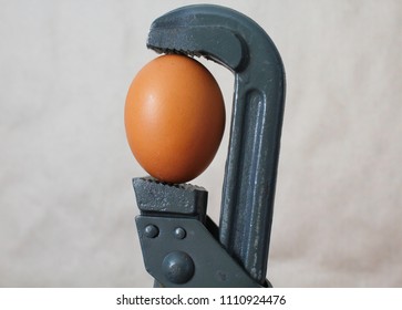 Egg In The Vice