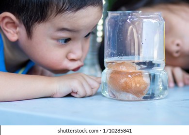 Egg In Vinegar Experiment Science Activity.Asian Preschool Kids  Learn About A Cool Chemical Reaction, The Vinegar Reacting With The Calcium Carbonate In Egg Shell.fun Science And Simple Activities.