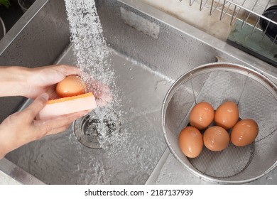 Egg Wash, Egg Wash Allows Bacteria To Penetrate The Shell Easily Into The Egg, Salmonella Bacteria, E. Coli,