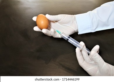 1,556 Egg vaccine Images, Stock Photos & Vectors | Shutterstock