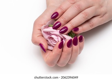 154 Nail Eggplant Images, Stock Photos & Vectors | Shutterstock