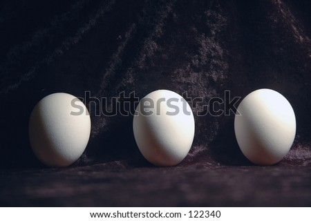 eggs