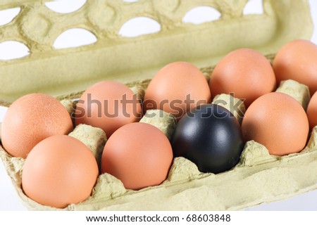 eggs in box