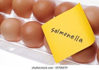 Eggs Can Carry Salmonella Concept With Brown Egg And Yellow Note.