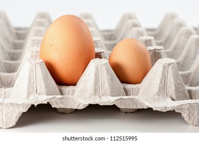 Eggs In Carton, Big And Small