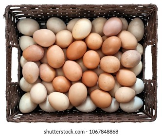 Eggs of different colors in dark square basket on isolated white background.