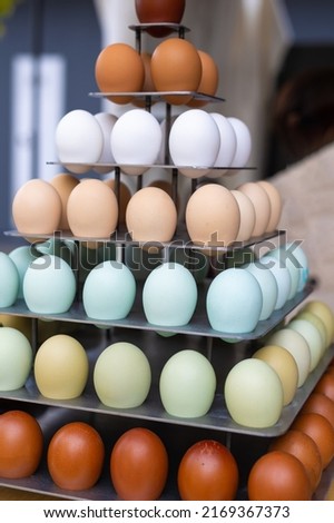 Eggs with Different colors of Shells placed on Top of a Display Stand.