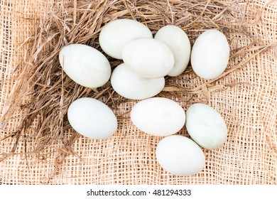 Eggs, Duck Eggs