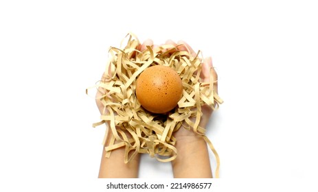 Eggs In The Hands Of The Child, Isolated On White Background. Fresh Cooking Ingredients For Breakfast.