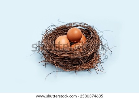 Eggs in nest isolated on white background