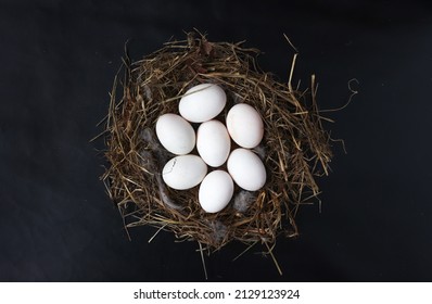 Eggs In Nest,Duck Eggs On Rice Straw, Raw Eggs For Cooking.