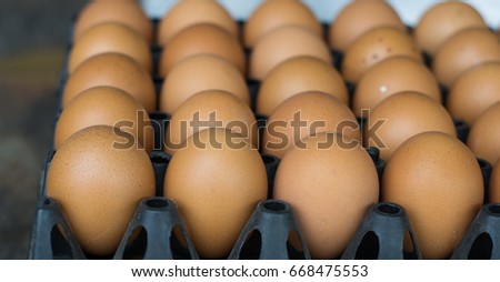 eggs on the eggshell  plastic for sales
