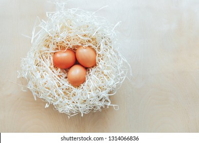 Eggs On Wood Wool Nest. Top View