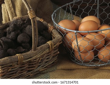 Eggs And Perigord Truffle, Tuber Melanosporum  