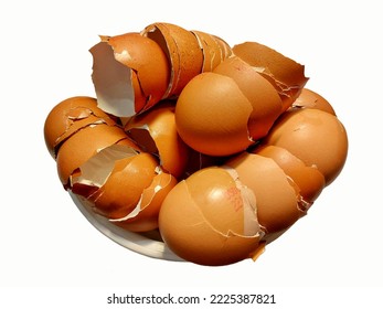 Eggs shell in the bin on white background. - Shutterstock ID 2225387821